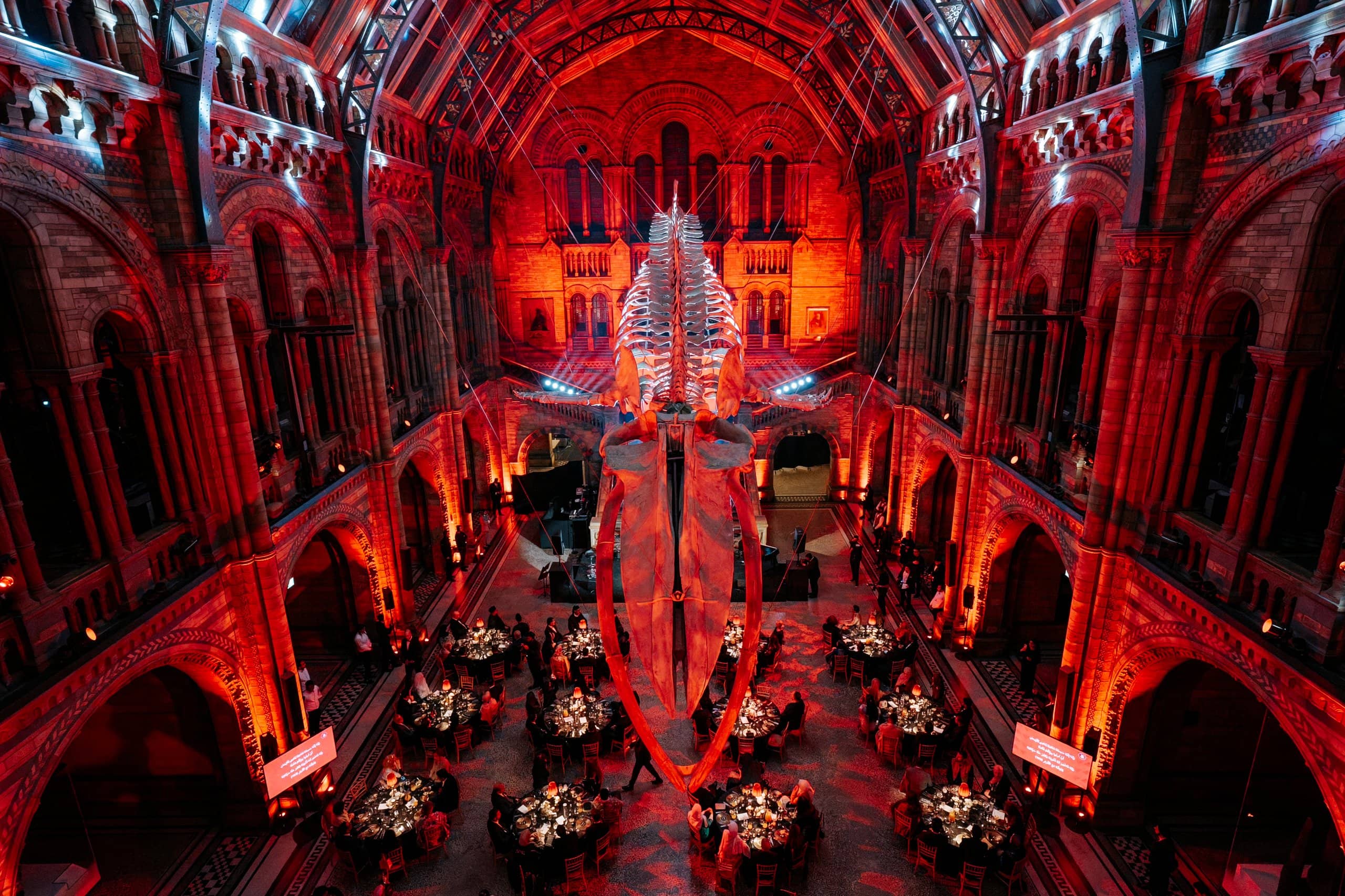 Hope the blue whale over the dinner tables in Hintze Hall, the hall washed red for the Awakening Music 25th anniversary, by Kudos AV.