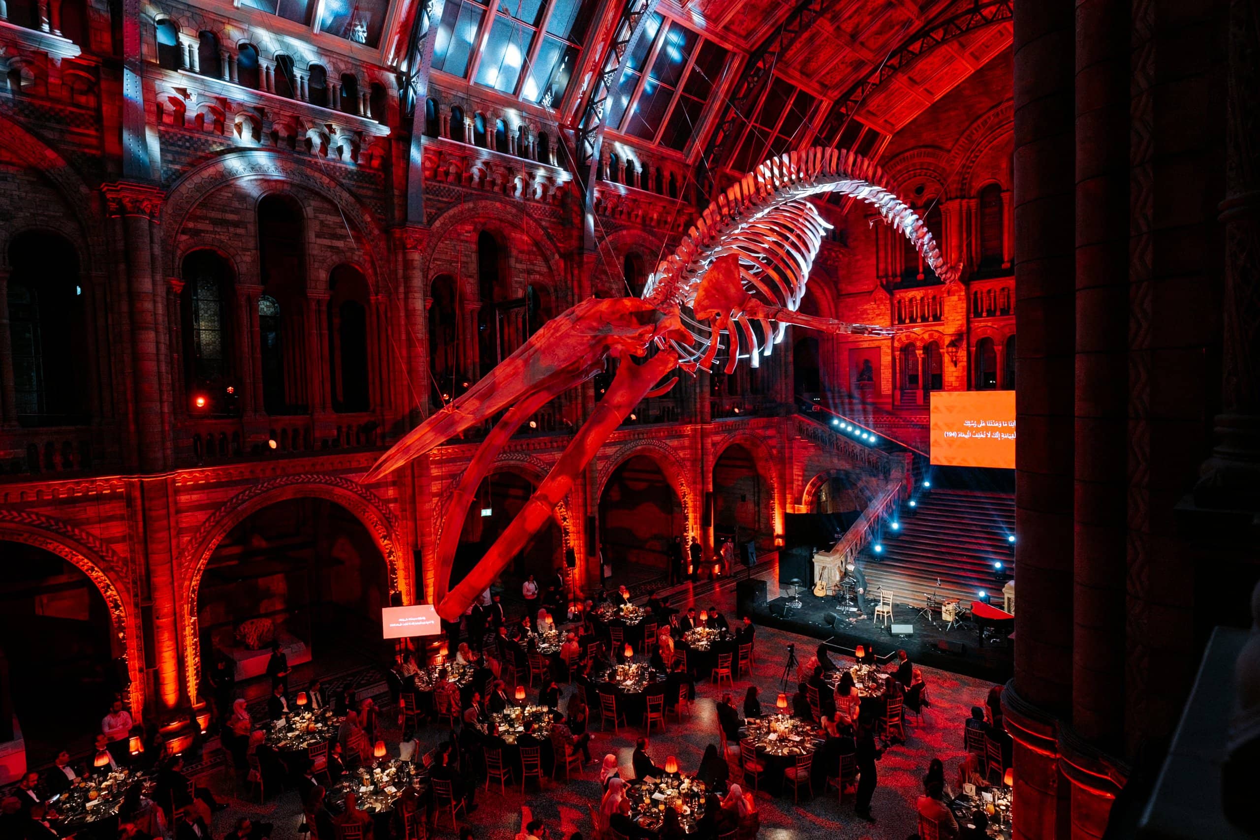 Hope the blue whale above guests at dinner in Hintze Hall under red uplighting, Awakening Music 25th anniversary, lit by Kudos AV.