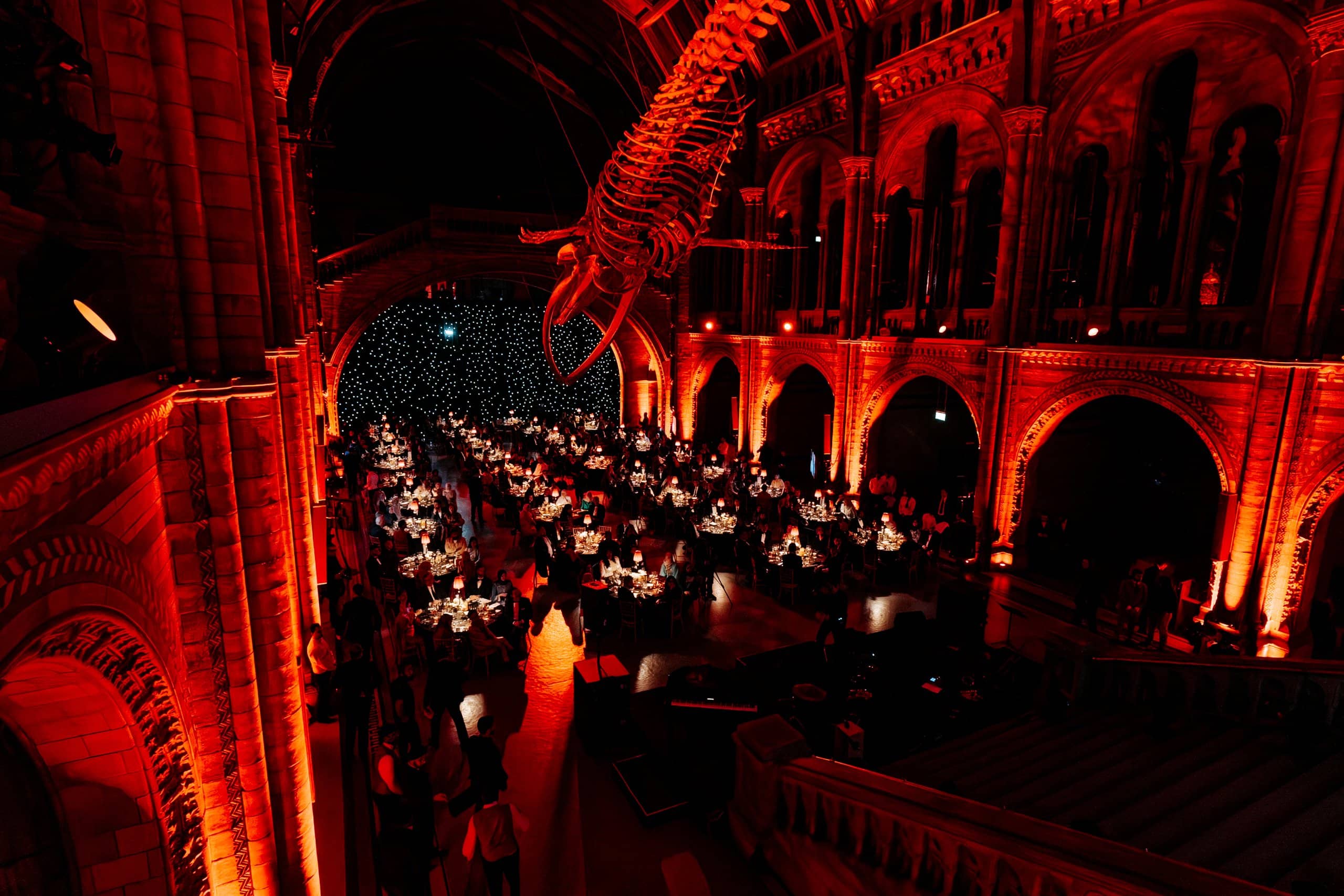 Dinner tables beneath Hope the blue whale in Hintze Hall, red uplighting on the stonework, Awakening Music 25th anniversary by Kudos AV.