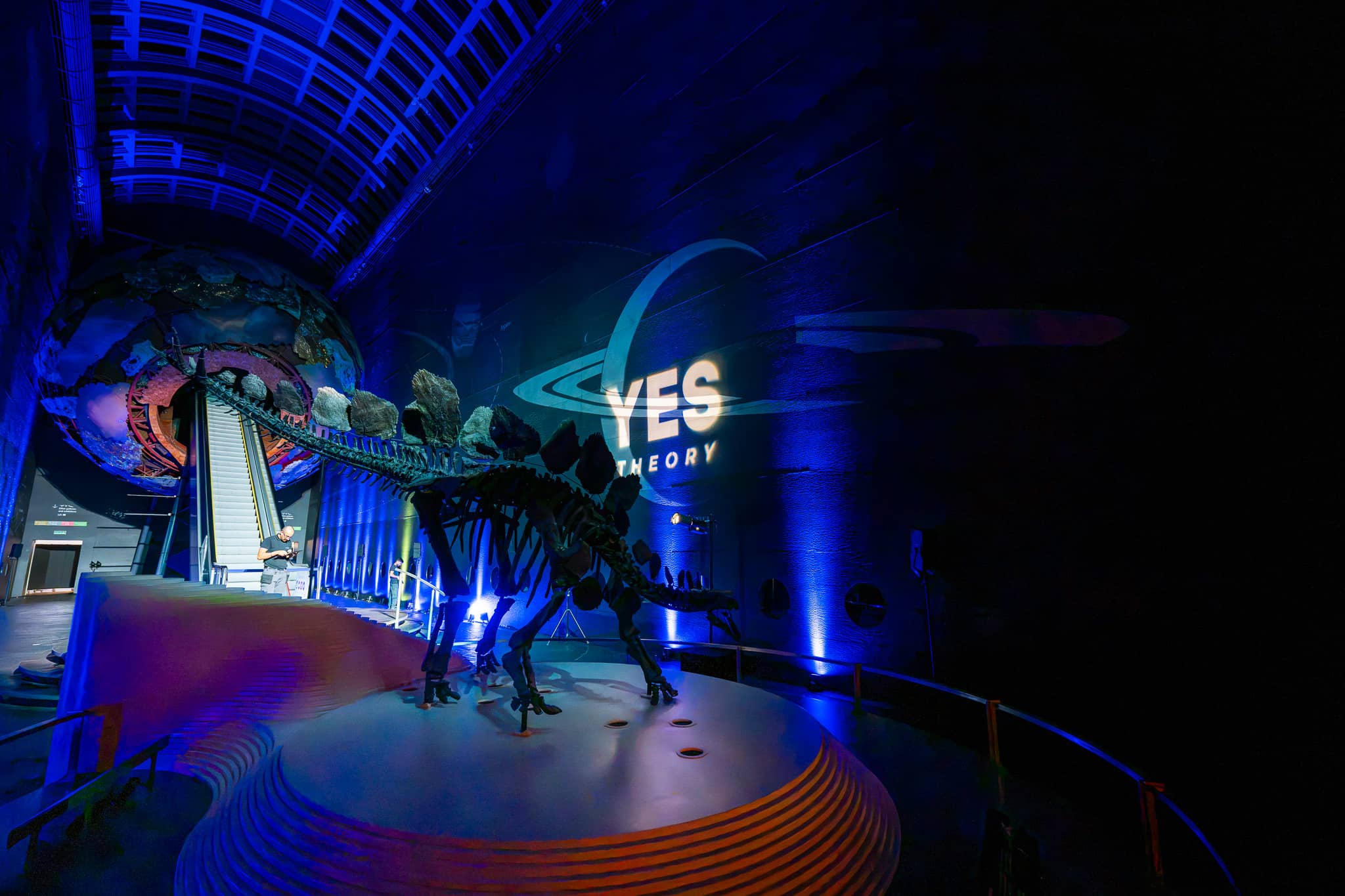 The Stegosaurus at the entrance to Earth Hall lit blue with patterned light for the Yes Theory 10 million subscriber celebration at the Natural History Museum, by Kudos AV.