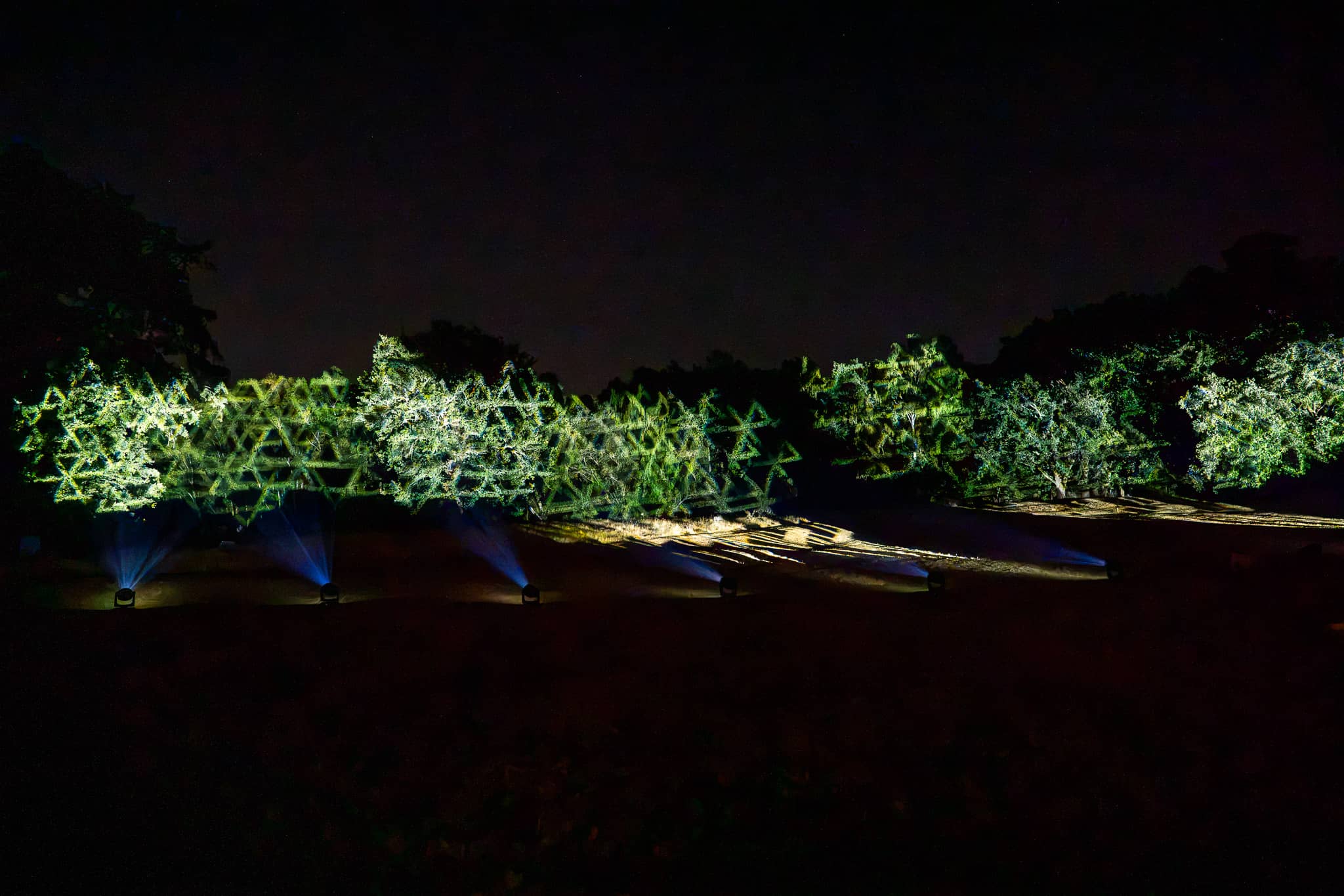 The hedge