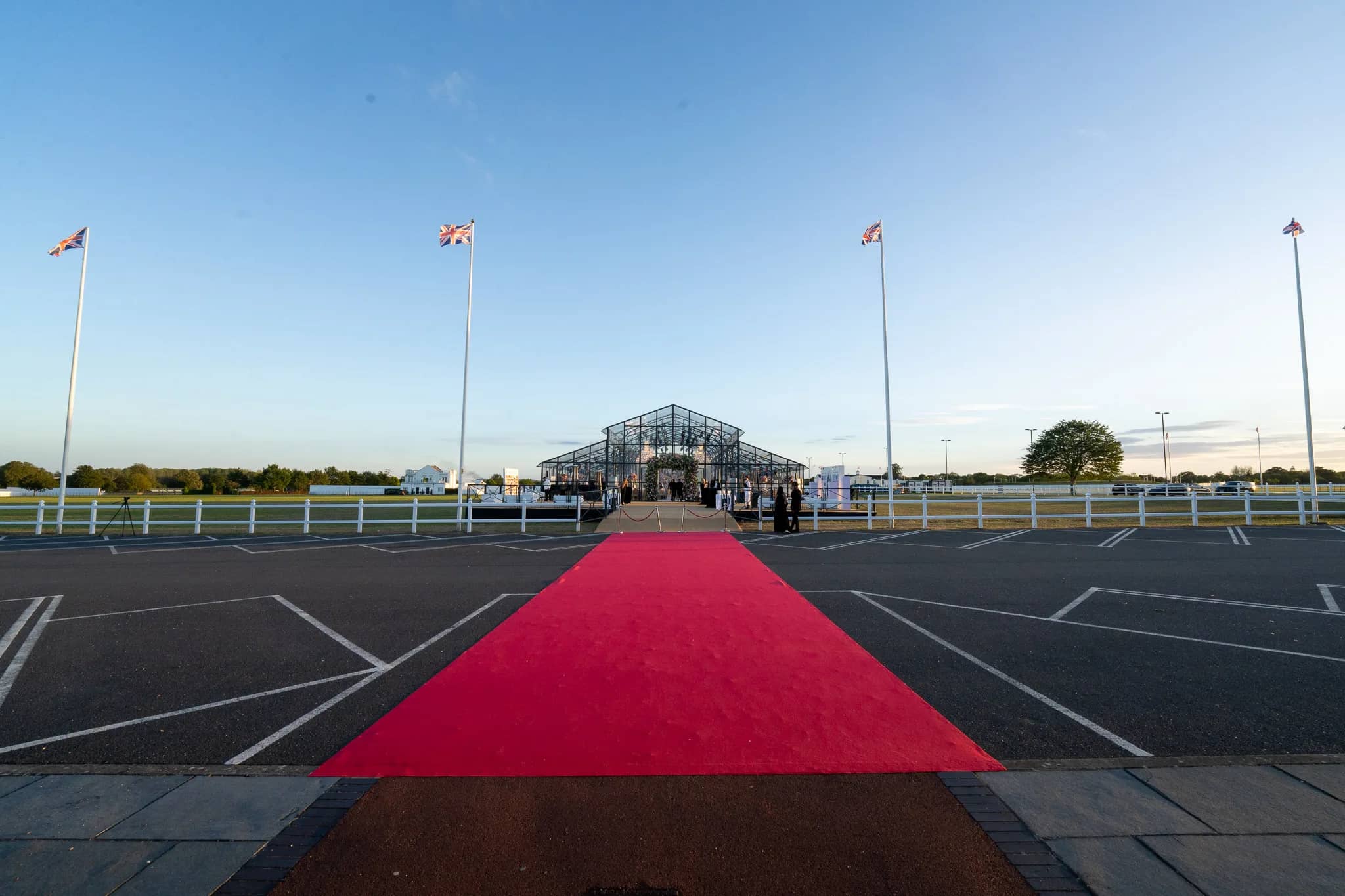 The red carpet