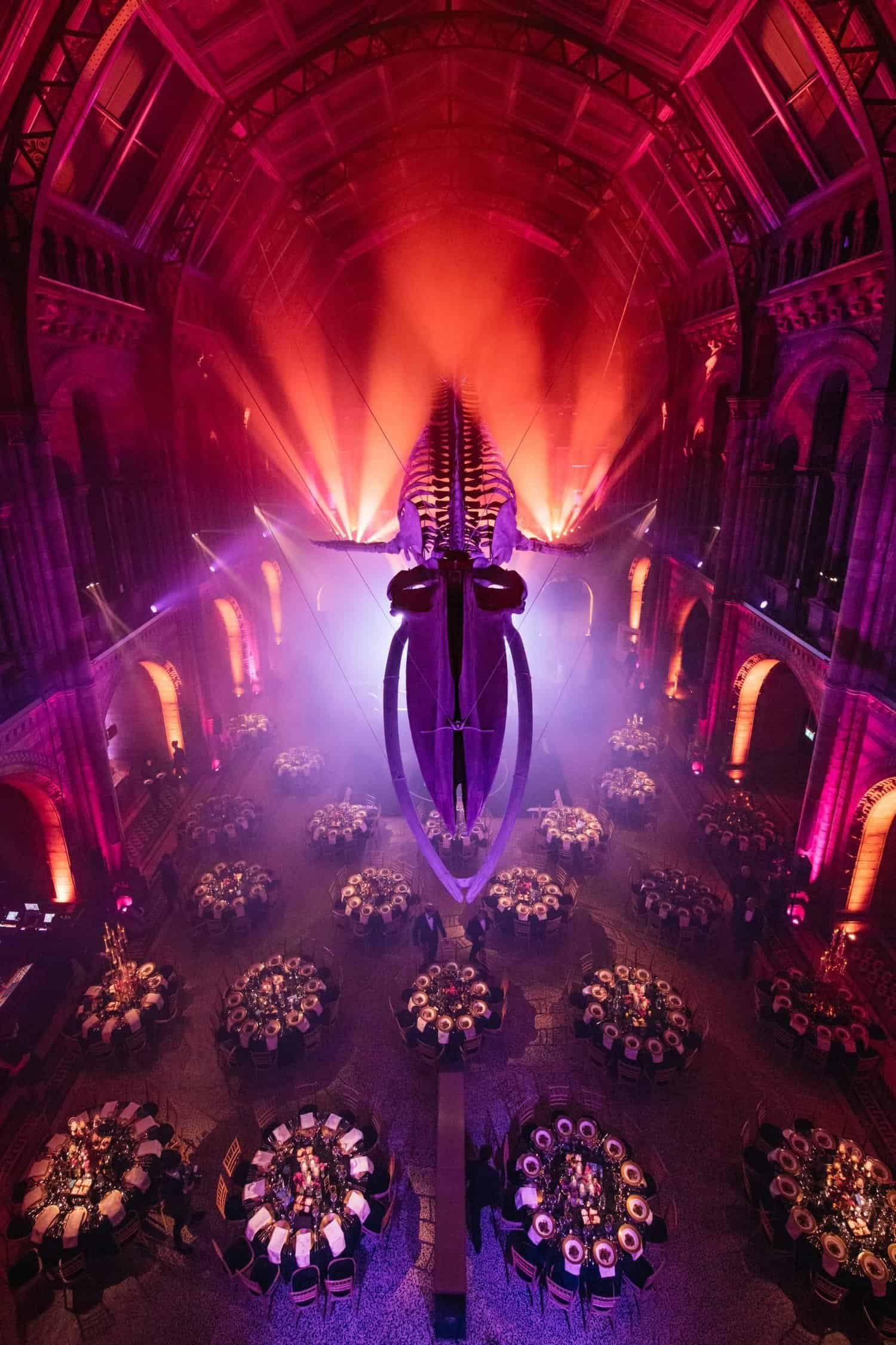 Kudos 10 at the Natural History Museum, symmetrical hall lit in red and purple, by Kudos AV