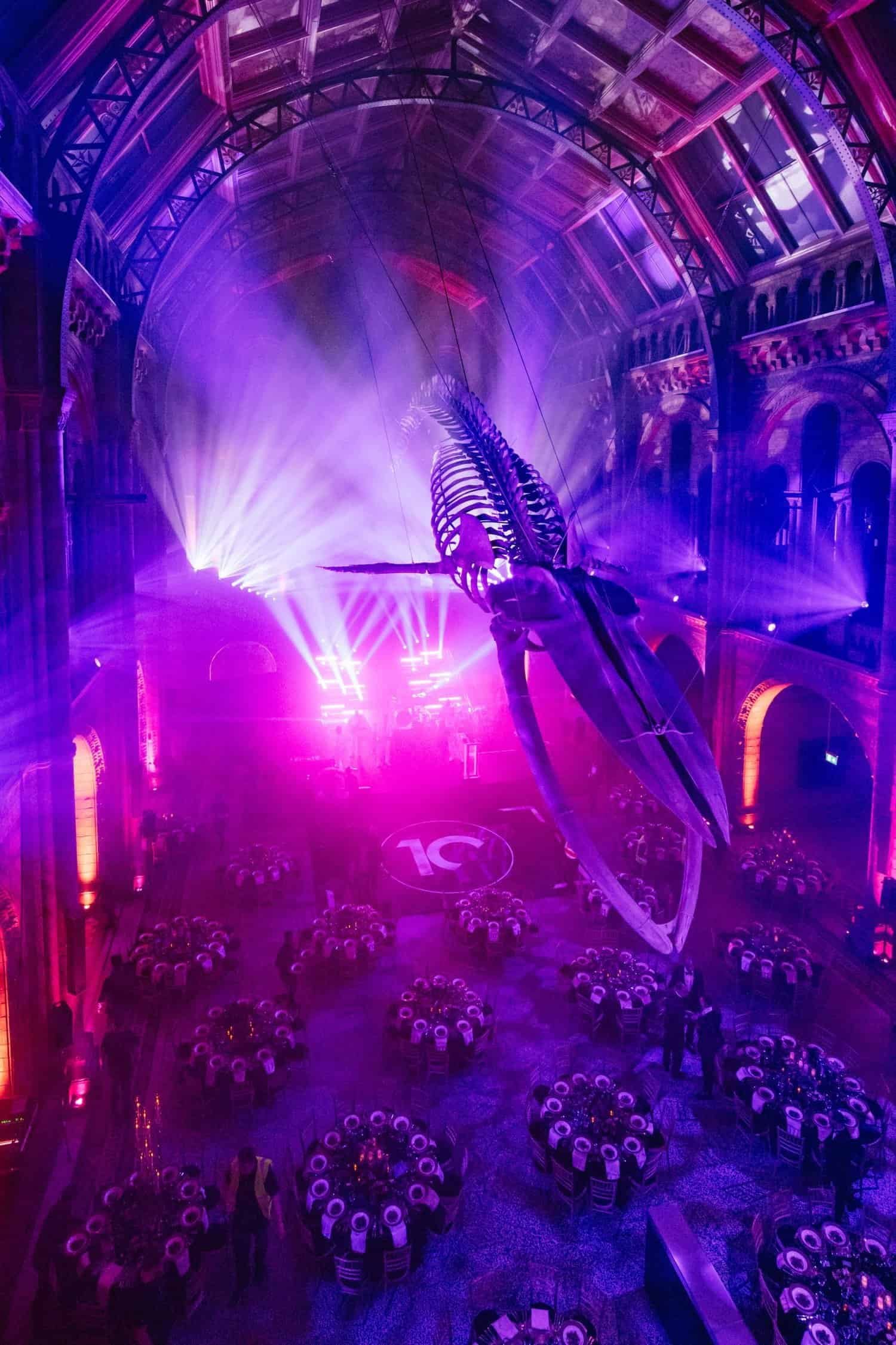 Kudos 10 at the Natural History Museum, the whale skeleton lit in pink above the dining hall, by Kudos AV