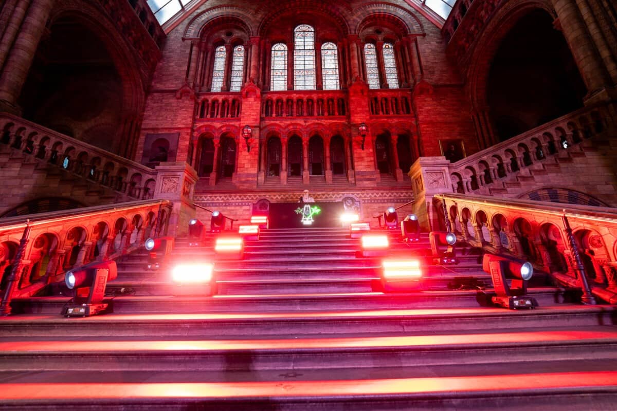 MTRNM Night at the Museum, Marten Lou at the Natural History Museum, Kudos AV event production, photo 1
