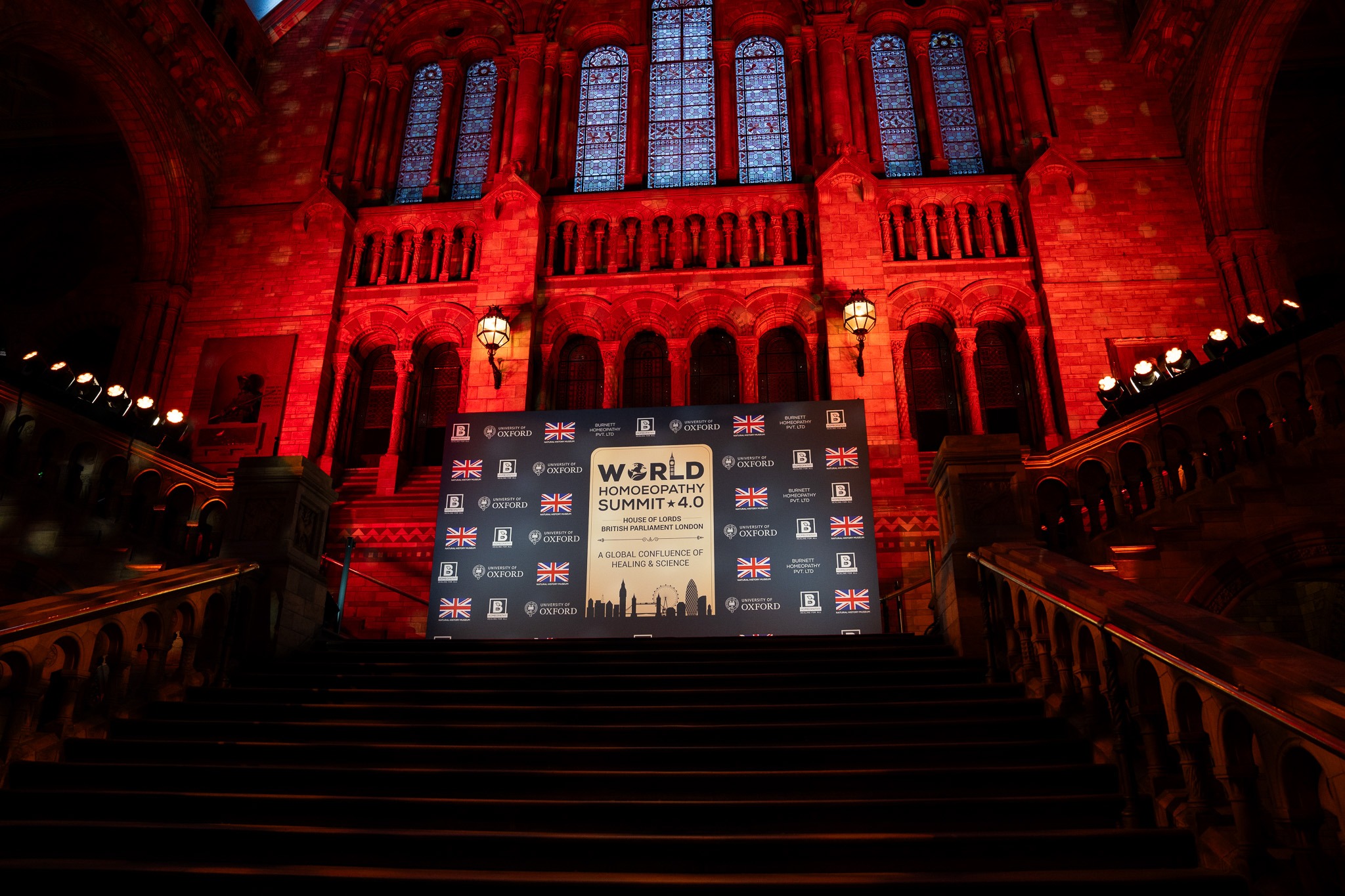 World Homoeopathy Summit 4.0 at NHM — image 28