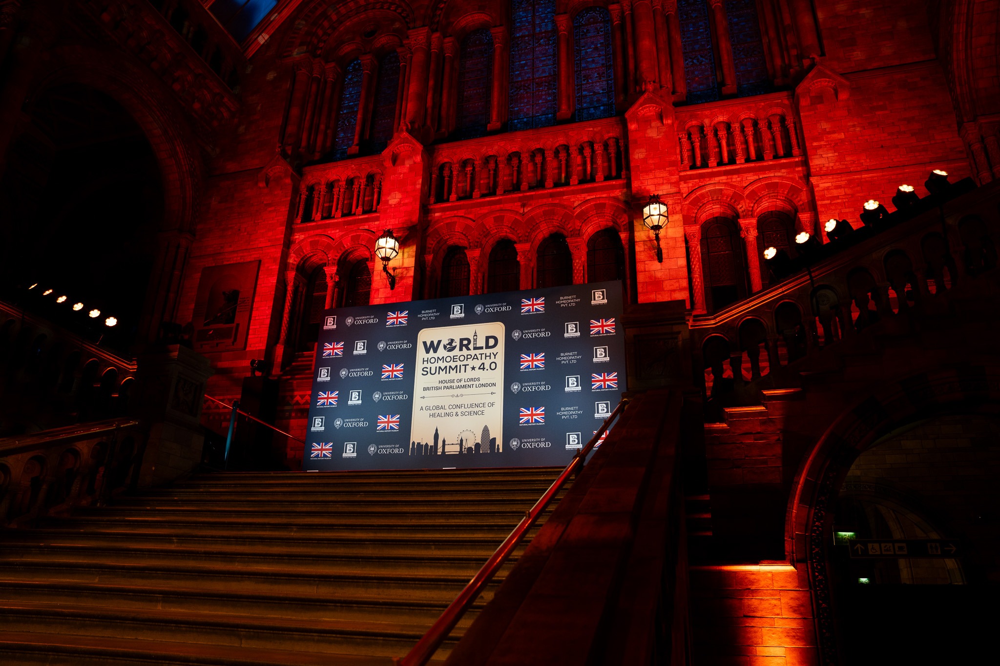 World Homoeopathy Summit 4.0 at NHM — image 25