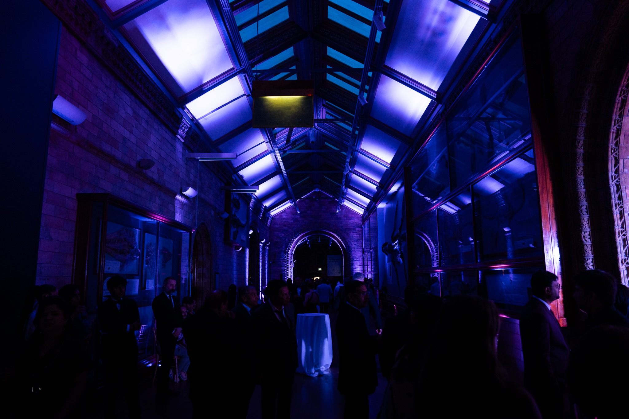 World Homoeopathy Summit 4.0 at NHM — image 24